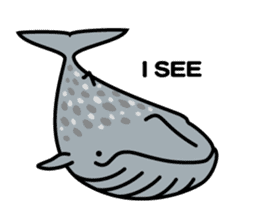 Whales & Dolphins (English Version) sticker #1877511