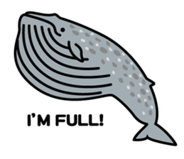 Whales & Dolphins (English Version) sticker #1877513