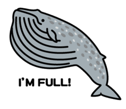 Whales & Dolphins (English Version) sticker #1877513