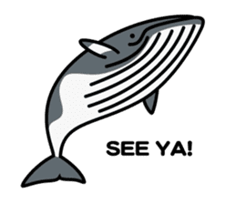 Whales & Dolphins (English Version) sticker #1877516