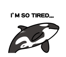 Whales & Dolphins (English Version) sticker #1877524