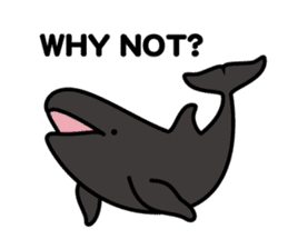 Whales & Dolphins (English Version) sticker #1877528