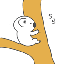 White Koala Sticker sticker #1882260
