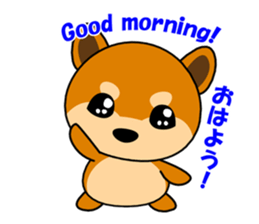 Kochacha of Mameshiba. sticker #1884895