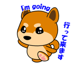 Kochacha of Mameshiba. sticker #1884896