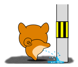 Kochacha of Mameshiba. sticker #1884901