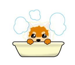 Kochacha of Mameshiba. sticker #1884902