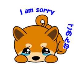 Kochacha of Mameshiba. sticker #1884907