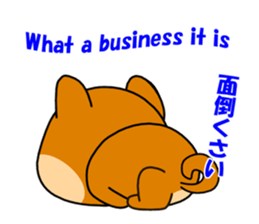 Kochacha of Mameshiba. sticker #1884909