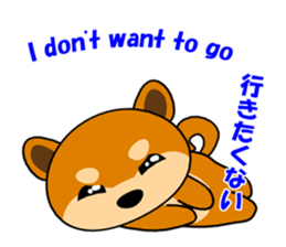 Kochacha of Mameshiba. sticker #1884912