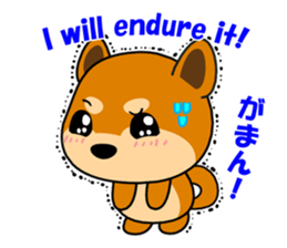 Kochacha of Mameshiba. sticker #1884916