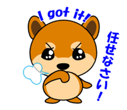 Kochacha of Mameshiba. sticker #1884917