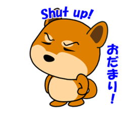 Kochacha of Mameshiba. sticker #1884923