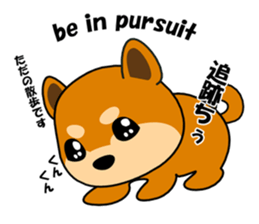 Kochacha of Mameshiba. sticker #1884925