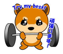 Kochacha of Mameshiba. sticker #1884929