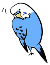 writing brush yuru-budgerigar sticker #1885656