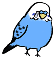 writing brush yuru-budgerigar sticker #1885671