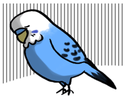 writing brush yuru-budgerigar sticker #1885675