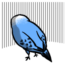 writing brush yuru-budgerigar sticker #1885676