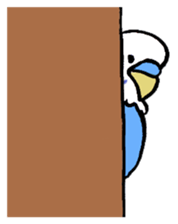 writing brush yuru-budgerigar sticker #1885678