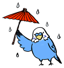 writing brush yuru-budgerigar sticker #1885680