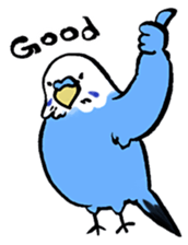 writing brush yuru-budgerigar sticker #1885685