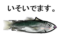 sabami sticker #1887352