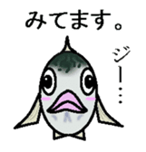 sabami sticker #1887359