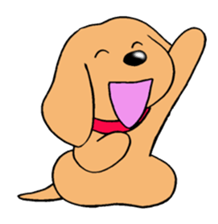 Sticker of Miniature Dachshund sticker #1890542