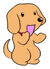 Sticker of Miniature Dachshund sticker #1890551