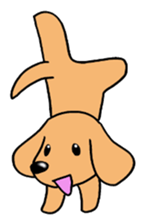 Sticker of Miniature Dachshund sticker #1890555