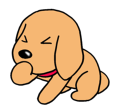 Sticker of Miniature Dachshund sticker #1890556