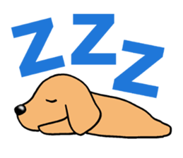 Sticker of Miniature Dachshund sticker #1890557