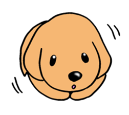 Sticker of Miniature Dachshund sticker #1890559