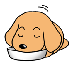 Sticker of Miniature Dachshund sticker #1890560