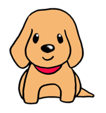 Sticker of Miniature Dachshund sticker #1890566