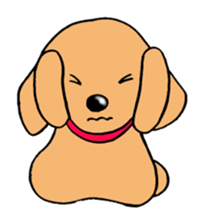 Sticker of Miniature Dachshund sticker #1890569