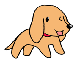 Sticker of Miniature Dachshund sticker #1890573