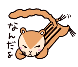 Chipmunk Sticker sticker #1892395