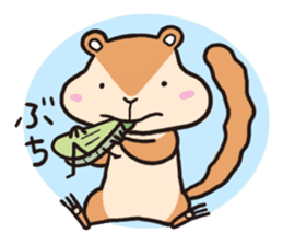 Chipmunk Sticker sticker #1892401