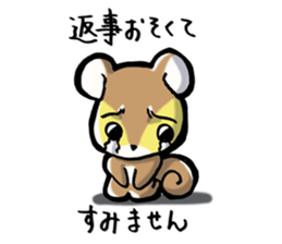 Squirrel's Lee sticker #1893241