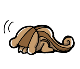 Squirrel's Lee sticker #1893251