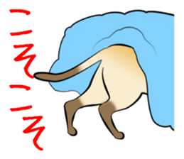 Gesture of a cat sticker #1895029