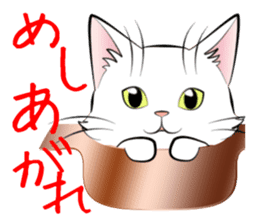Gesture of a cat sticker #1895032