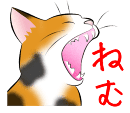 Gesture of a cat sticker #1895051