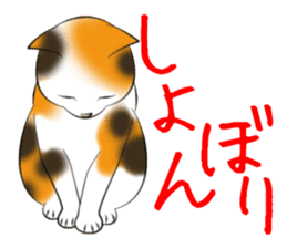 Gesture of a cat sticker #1895052