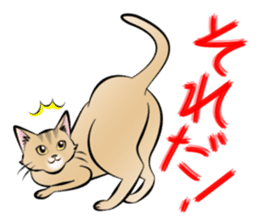 Gesture of a cat sticker #1895053