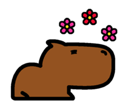 Capyba-kun of the capybara sticker #1898546