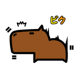 Capyba-kun of the capybara sticker #1898564