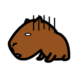 Capyba-kun of the capybara sticker #1898577